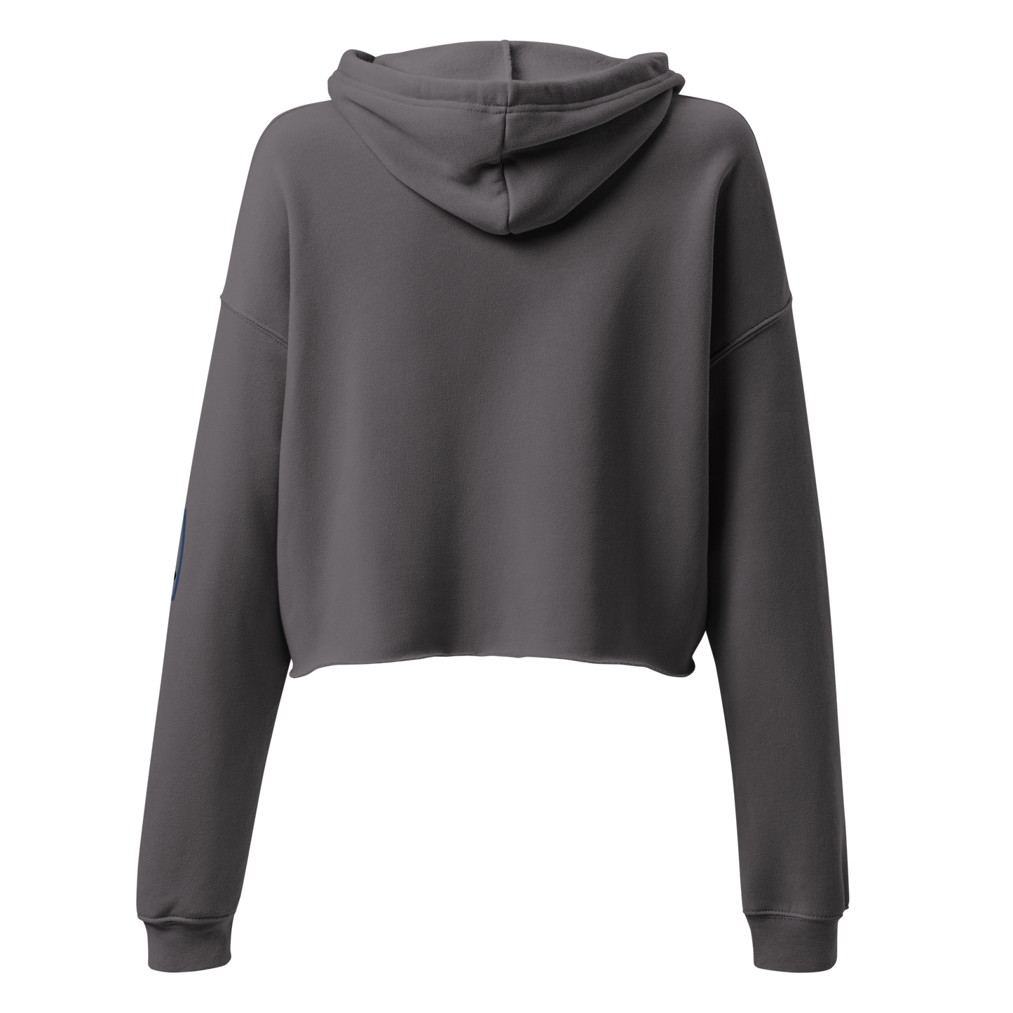 Just The Tip Crop Hoodie