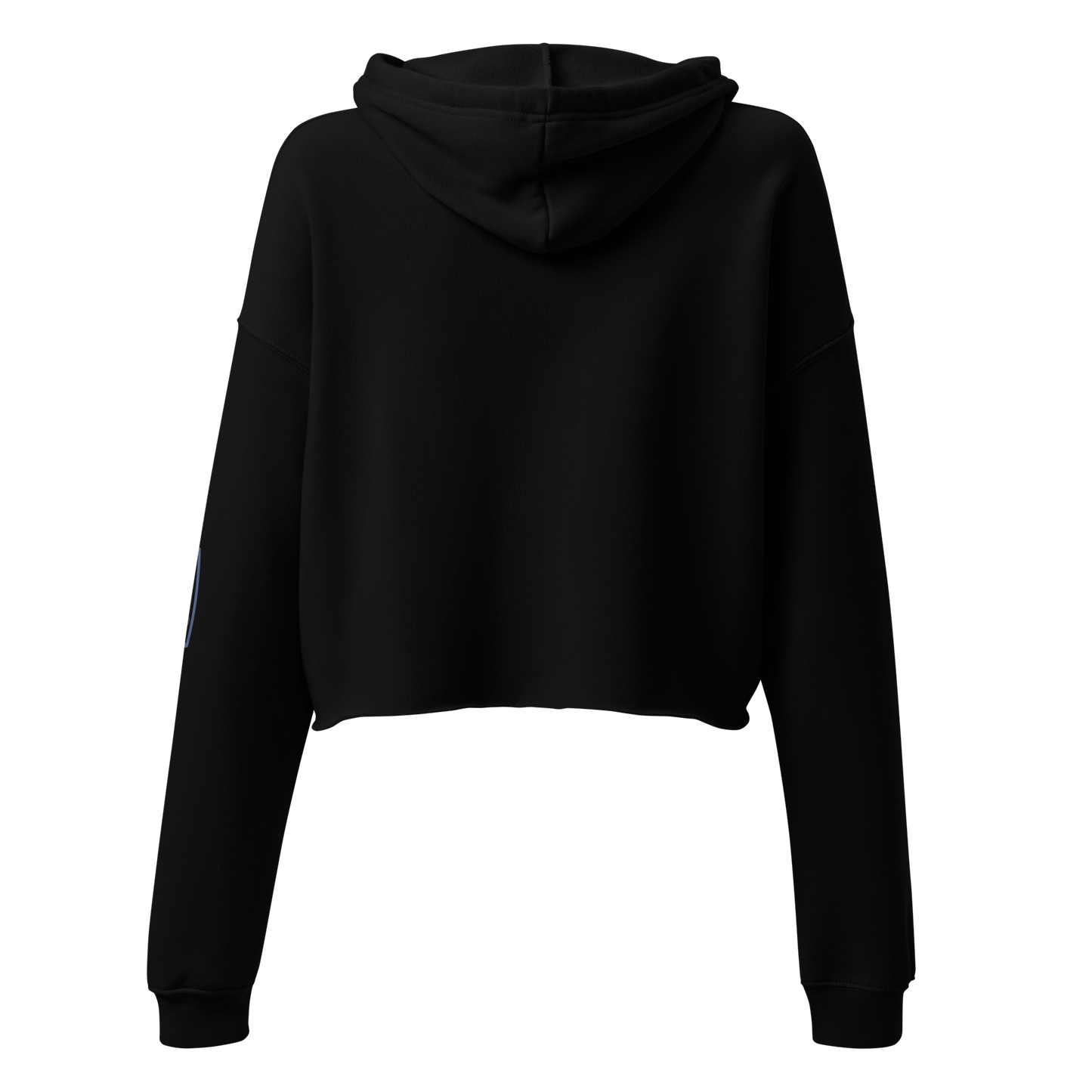 Just The Tip Crop Hoodie