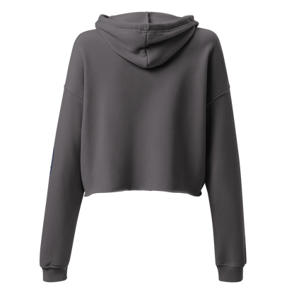 Just The Tip Crop Hoodie